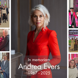 Collage Andrea Evers